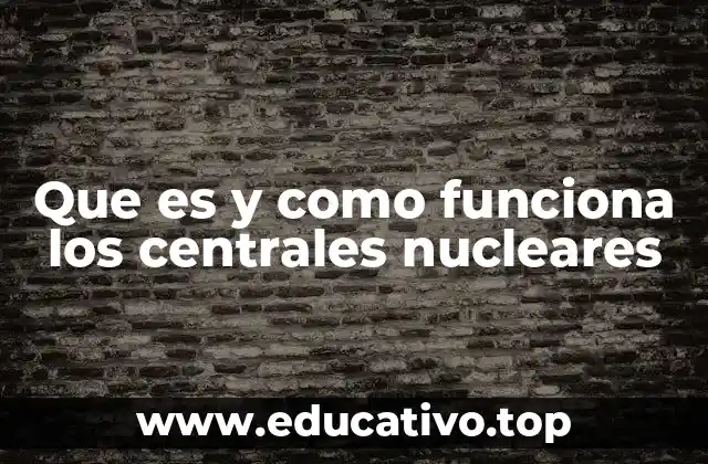 Que es y como funciona los centrales nucleares