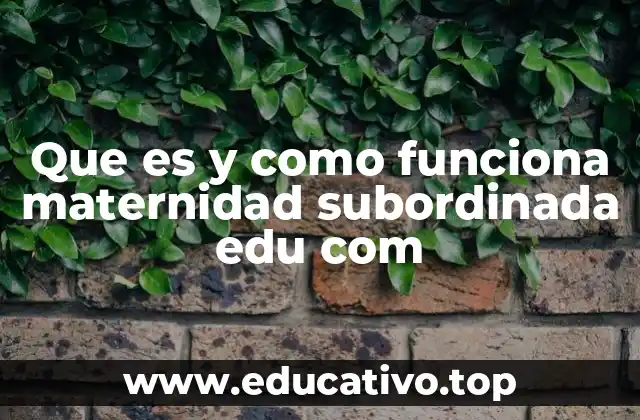 Que es y como funciona maternidad subordinada edu com