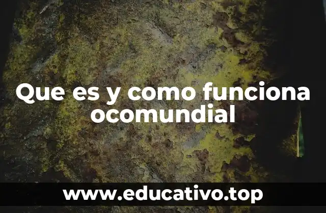 Que es y como funciona ocomundial