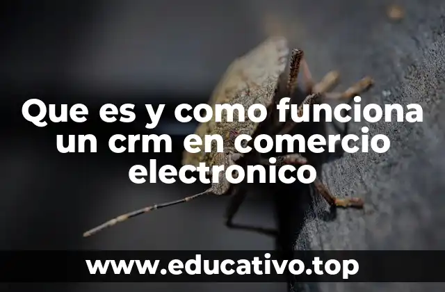 Que es y como funciona un crm en comercio electronico