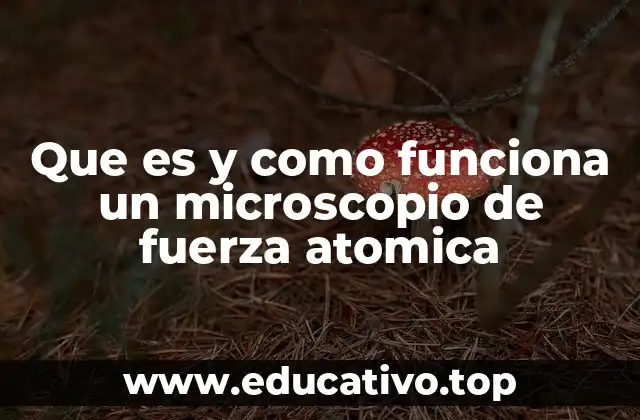 Que es y como funciona un microscopio de fuerza atomica