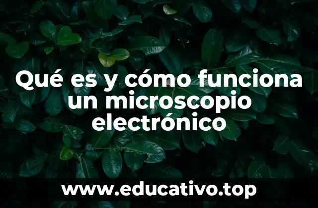 Qué es y cómo funciona un microscopio electrónico