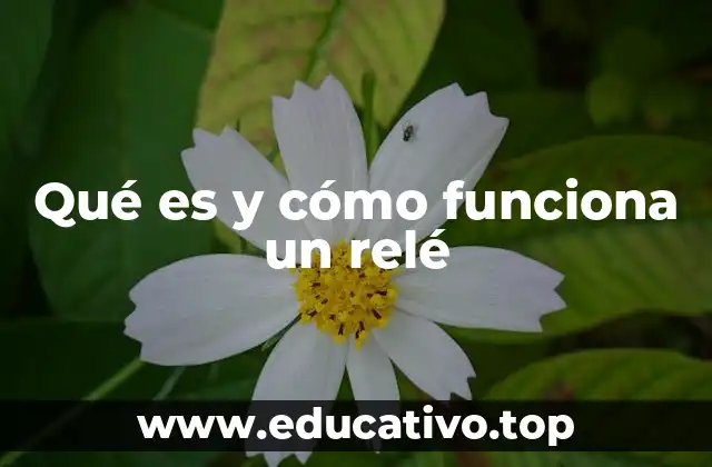 Qué es y cómo funciona un relé