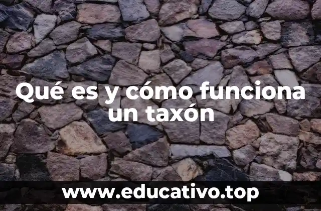 Qué es y cómo funciona un taxón