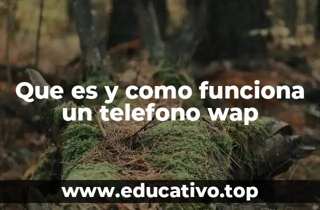 Que es y como funciona un telefono wap