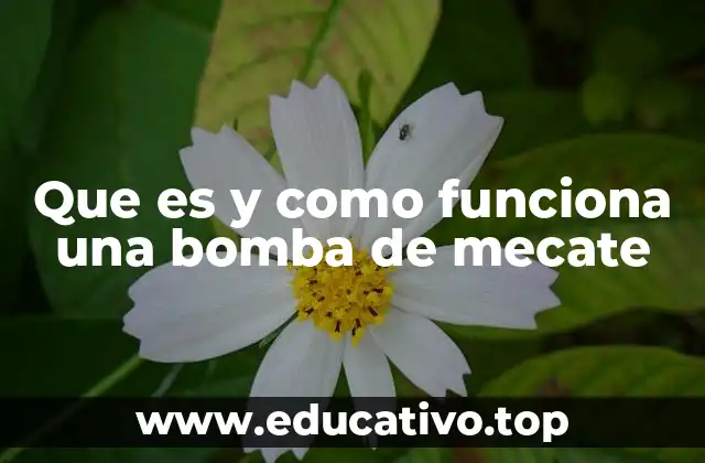 Que es y como funciona una bomba de mecate