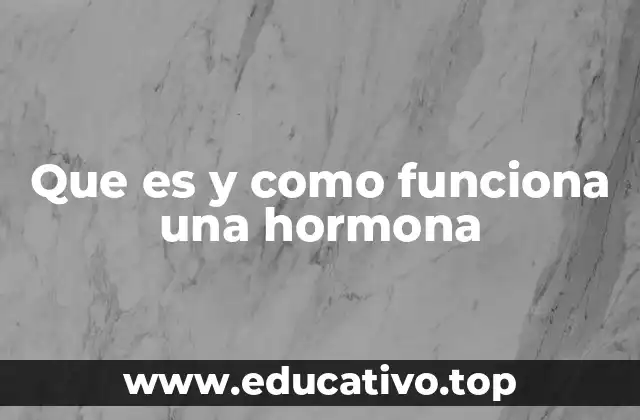 Que es y como funciona una hormona