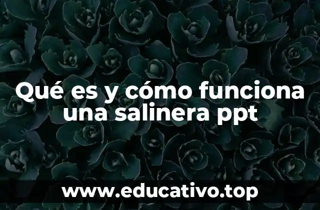 Qué es y cómo funciona una salinera ppt