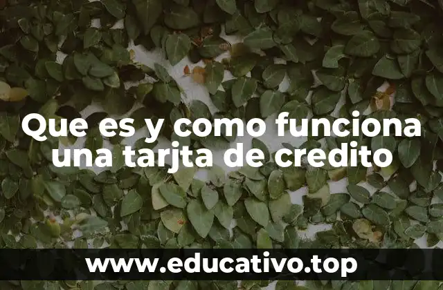Que es y como funciona una tarjta de credito