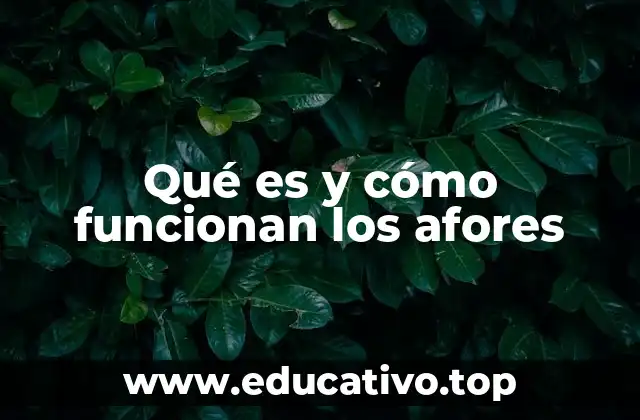 El papel de las Afores en el sistema financiero mexicano