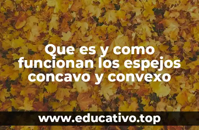 Que es y como funcionan los espejos concavo y convexo