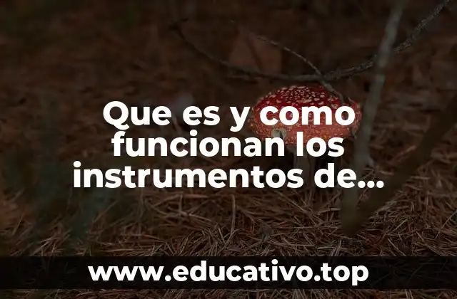 Que es y como funcionan los instrumentos de inversion gubernamentales