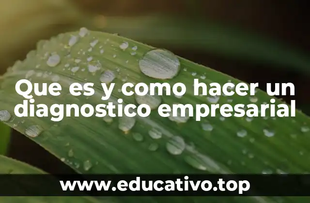 Que es y como hacer un diagnostico empresarial