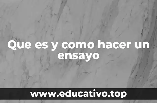 Que es y como hacer un ensayo