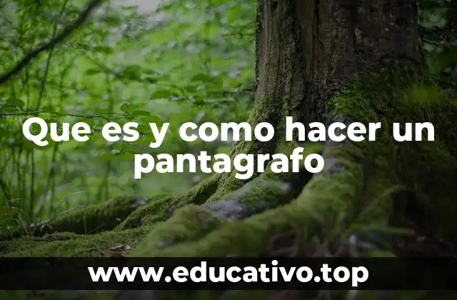 Que es y como hacer un pantagrafo