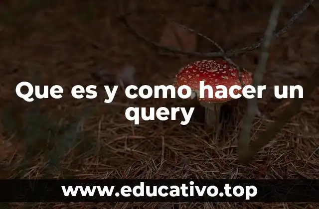 Que es y como hacer un query