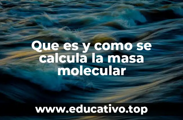 Que es y como se calcula la masa molecular