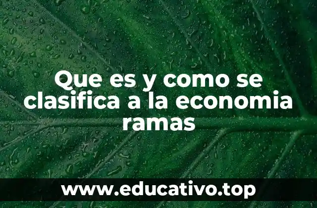 Que es y como se clasifica a la economia ramas