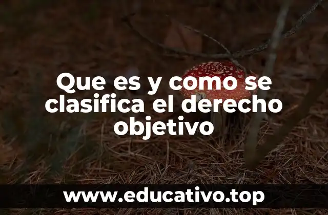 Que es y como se clasifica el derecho objetivo