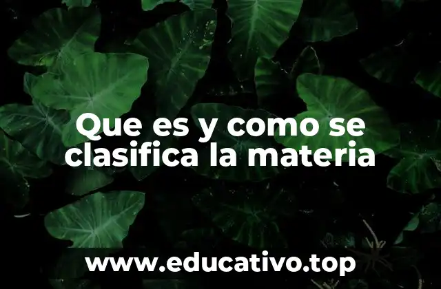 Que es y como se clasifica la materia