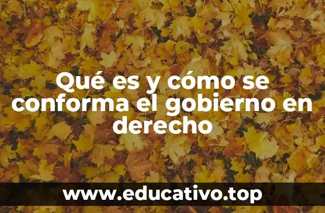 Qué es y cómo se conforma el gobierno en derecho