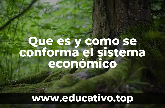 Que es y como se conforma el sistema económico