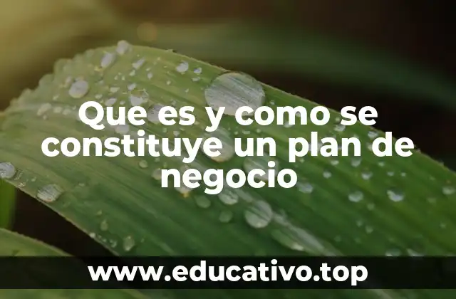 Que es y como se constituye un plan de negocio