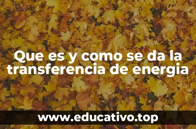 Que es y como se da la transferencia de energia
