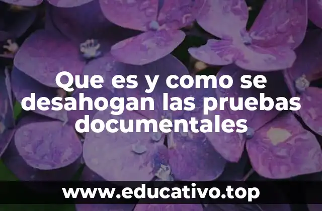 Que es y como se desahogan las pruebas documentales
