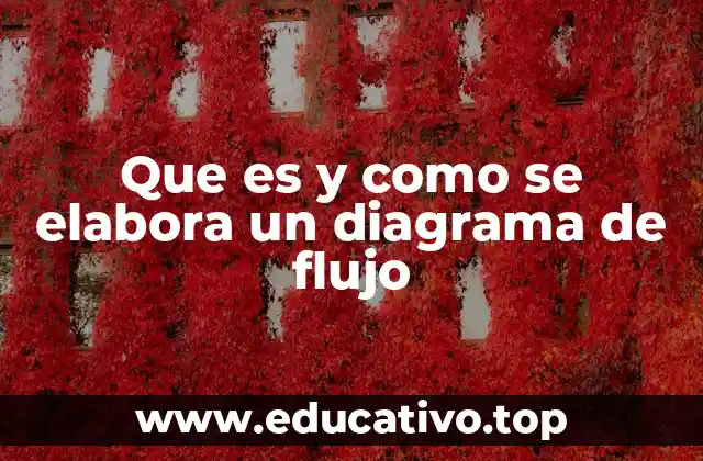 Representación visual de procesos en la gestión empresarial