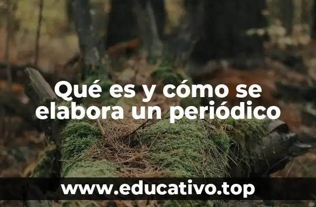 Qué es y cómo se elabora un periódico