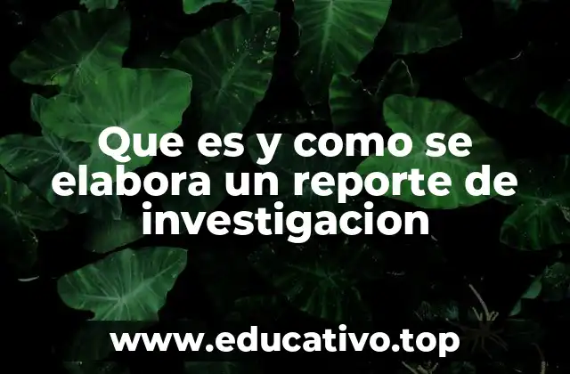 Componentes fundamentales de un reporte de investigación