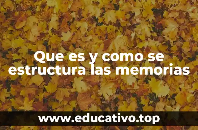 Que es y como se estructura las memorias