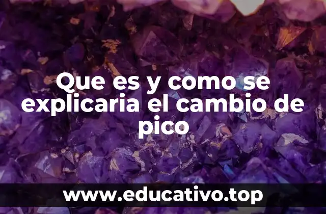 Que es y como se explicaria el cambio de pico