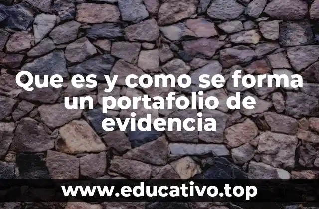 Que es y como se forma un portafolio de evidencia