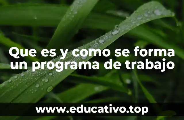Que es y como se forma un programa de trabajo