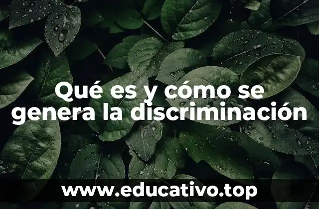 Qué es y cómo se genera la discriminación