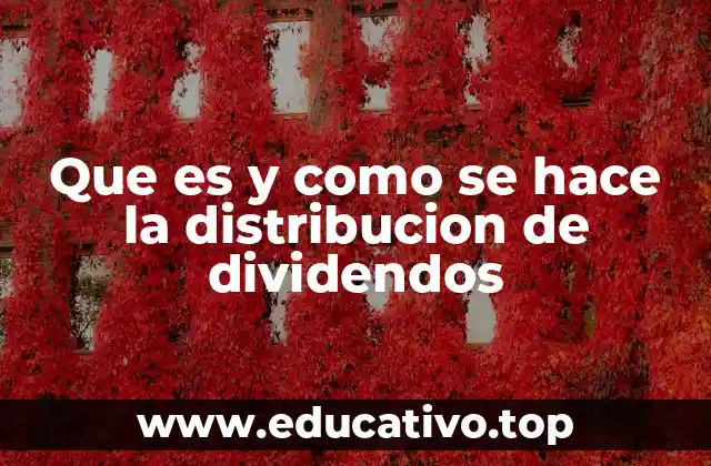 Que es y como se hace la distribucion de dividendos