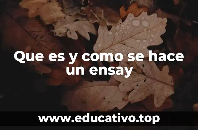 Que es y como se hace un ensay