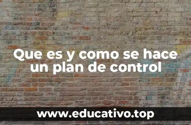 Elementos esenciales para construir un plan de control