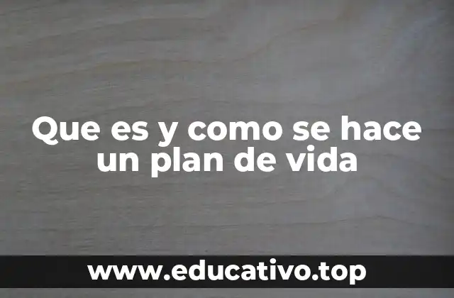 Que es y como se hace un plan de vida