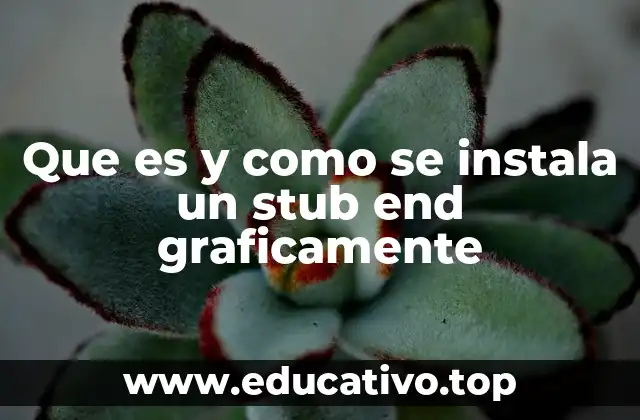 Que es y como se instala un stub end graficamente