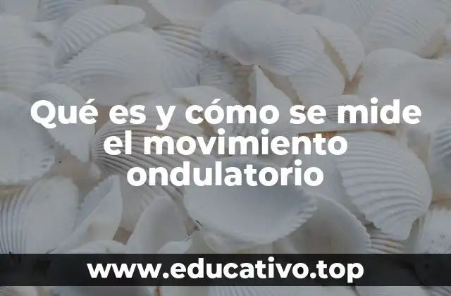 Qué es y cómo se mide el movimiento ondulatorio