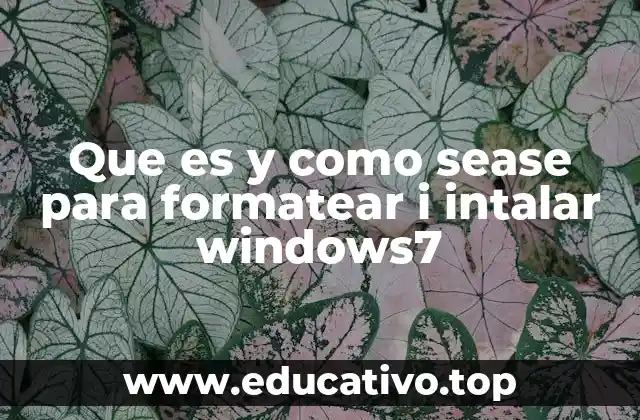 Que es y como sease para formatear i intalar windows7