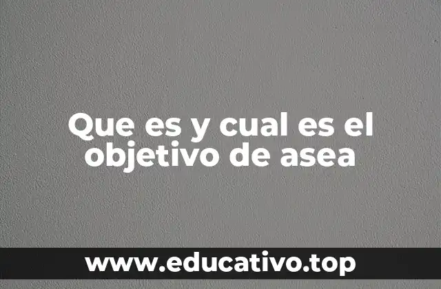 Que es y cual es el objetivo de asea