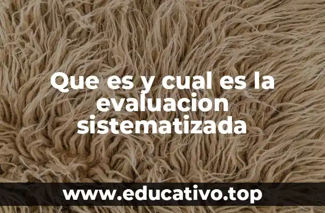 Que es y cual es la evaluacion sistematizada