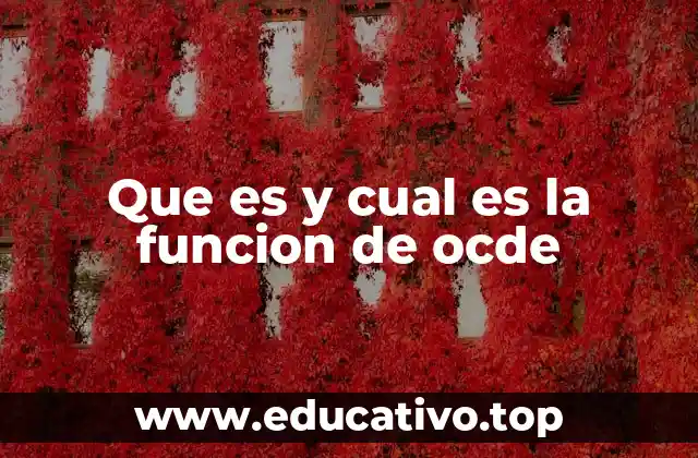 Que es y cual es la funcion de ocde