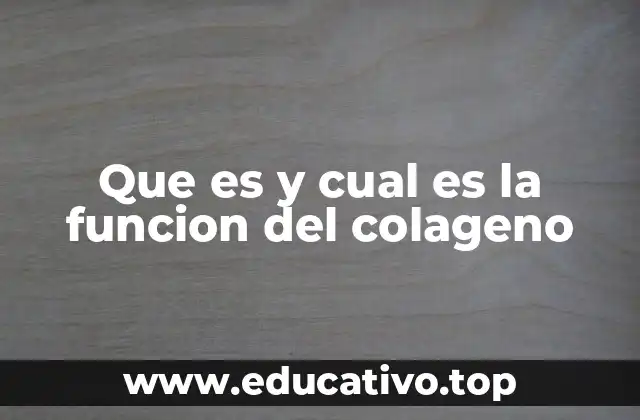 El colágeno como base de la estructura corporal