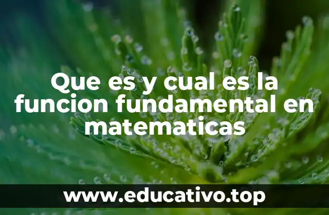 Que es y cual es la funcion fundamental en matematicas