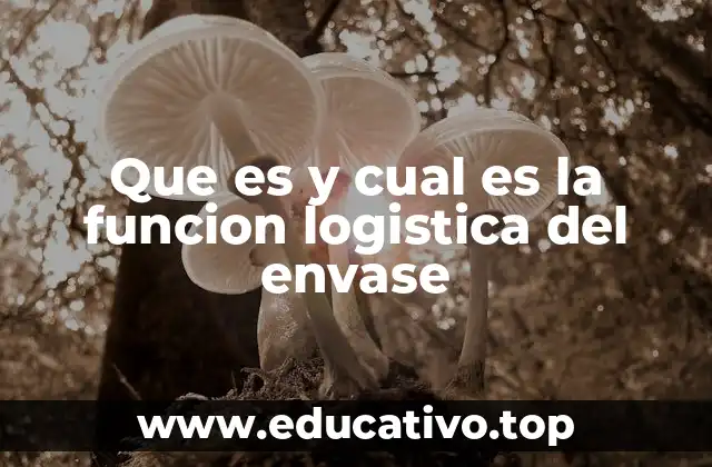 Que es y cual es la funcion logistica del envase